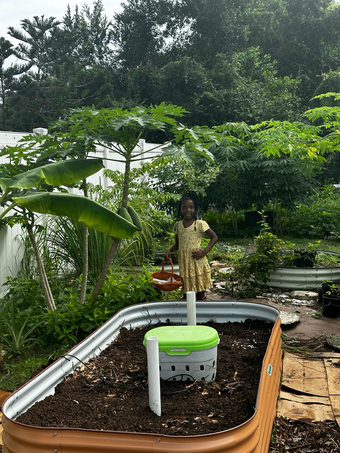 A Saint Livingstone child holding a harvest basket beside raised garden beds